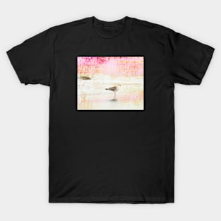 Faded Memories T-Shirt